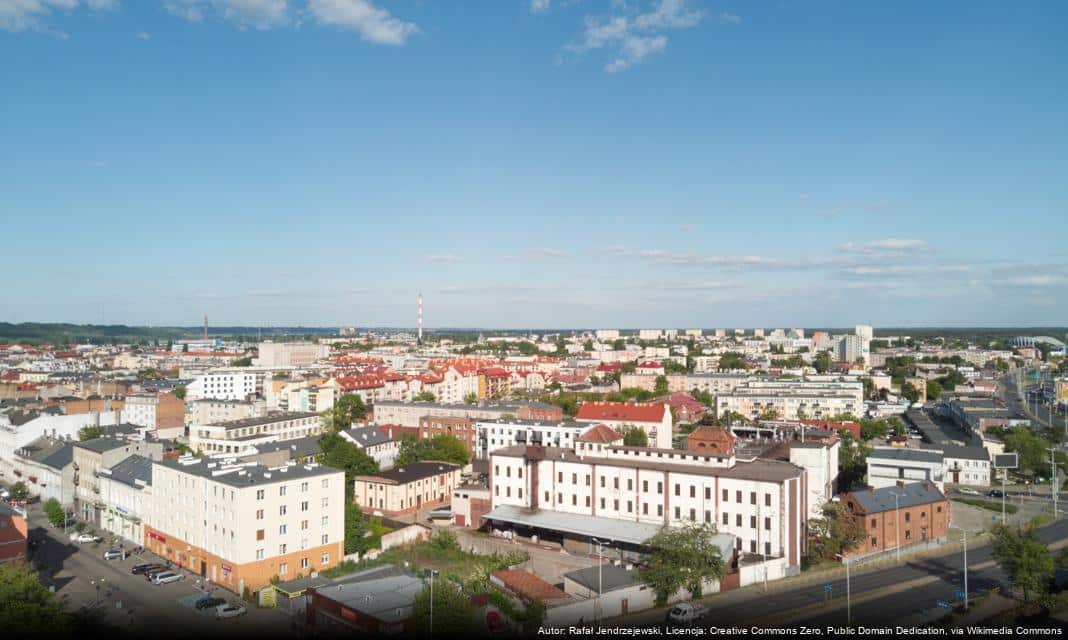 Białe róże rozkwitną przy Pomniku Poległych Obrońców Wisły 1920 roku