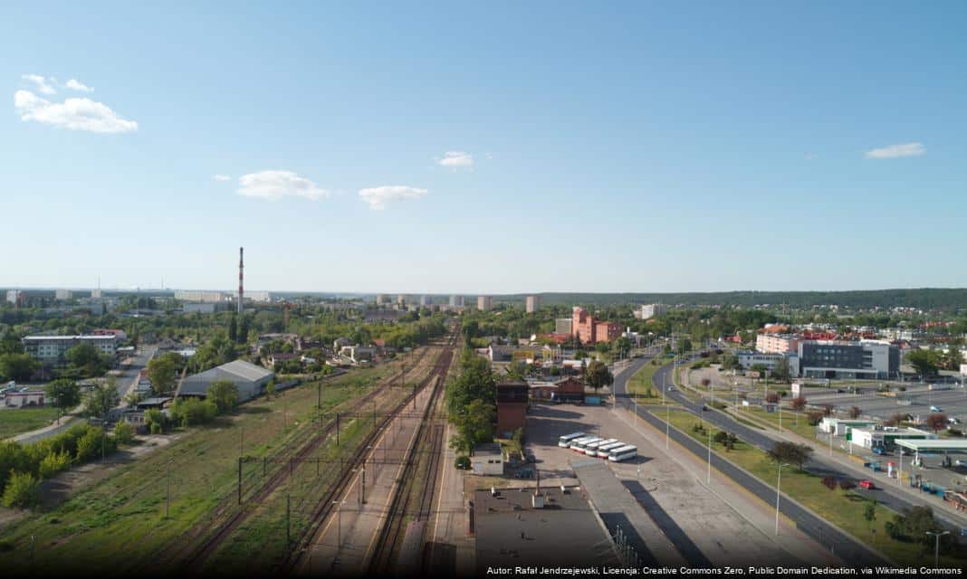 Darmowe przejazdy autobusami w Włocławku podczas Wszystkich Świętych