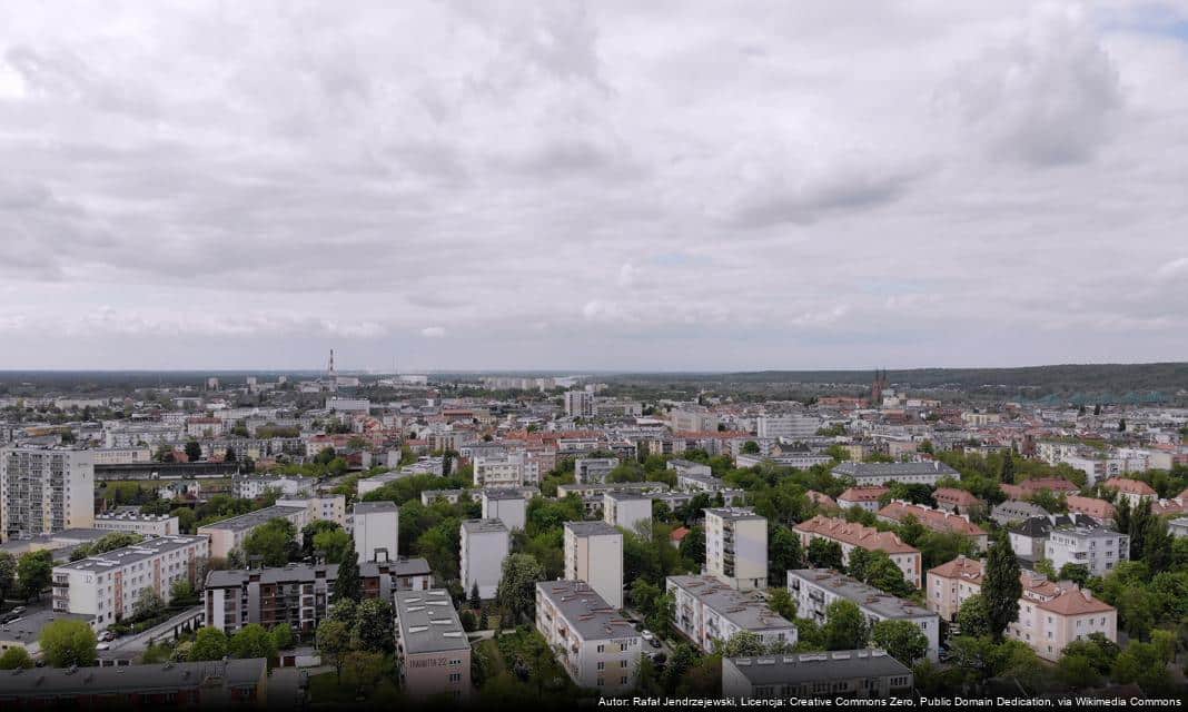 Uczniowie „Budowlanki” stają się twórcami terenu rekreacyjnego